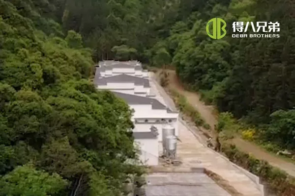 ãSistema de alimentação líquidaãAnhui Huangshan 400 porcas fazenda