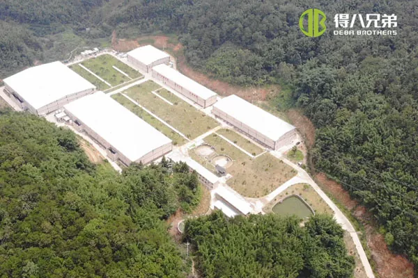 ãSistema de alimentação líquidaGuangdong Zhaoqing 20000 engorda 10000 desmame fazenda de porcos.