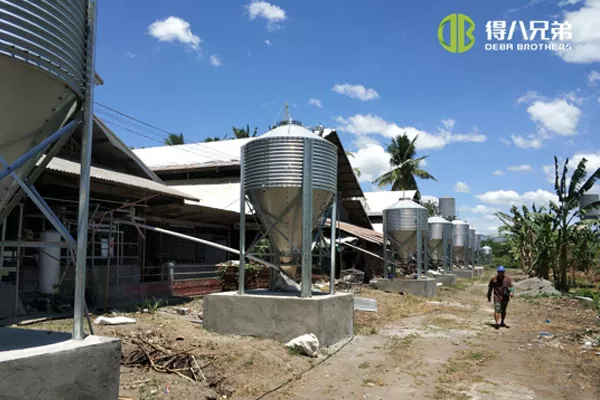 ãUnidade de partoãPhilippines Davao porca fazenda