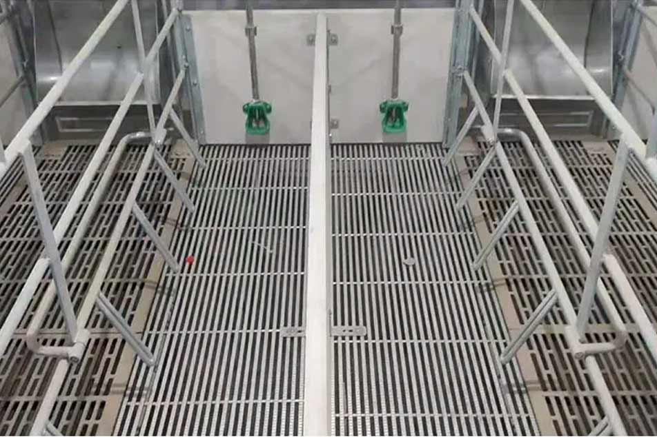 Melhorando a eficiência da suinocultura com o Tri-Bar Floor