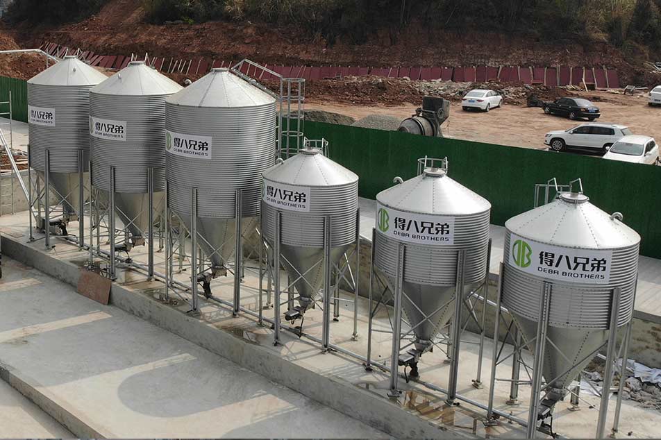 Silo de ração para granjas de suínos: equipamentos essenciais para otimizar o armazenamento e o gerenciamento de rações em granjas de suínos