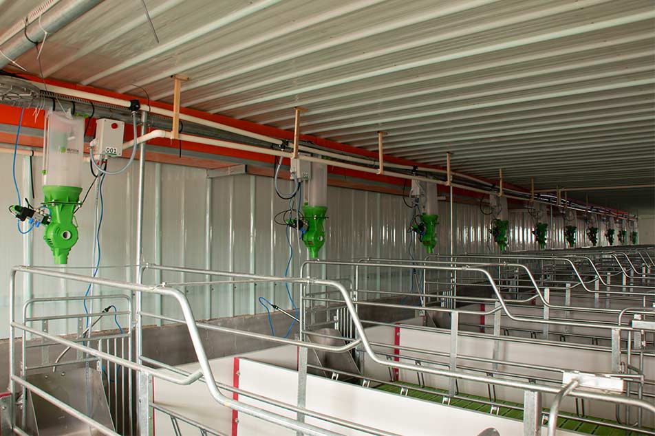 Dispensador do Sistema de Alimentação: Atendendo às Necessidades de Alimentação da Fazenda de Suínos