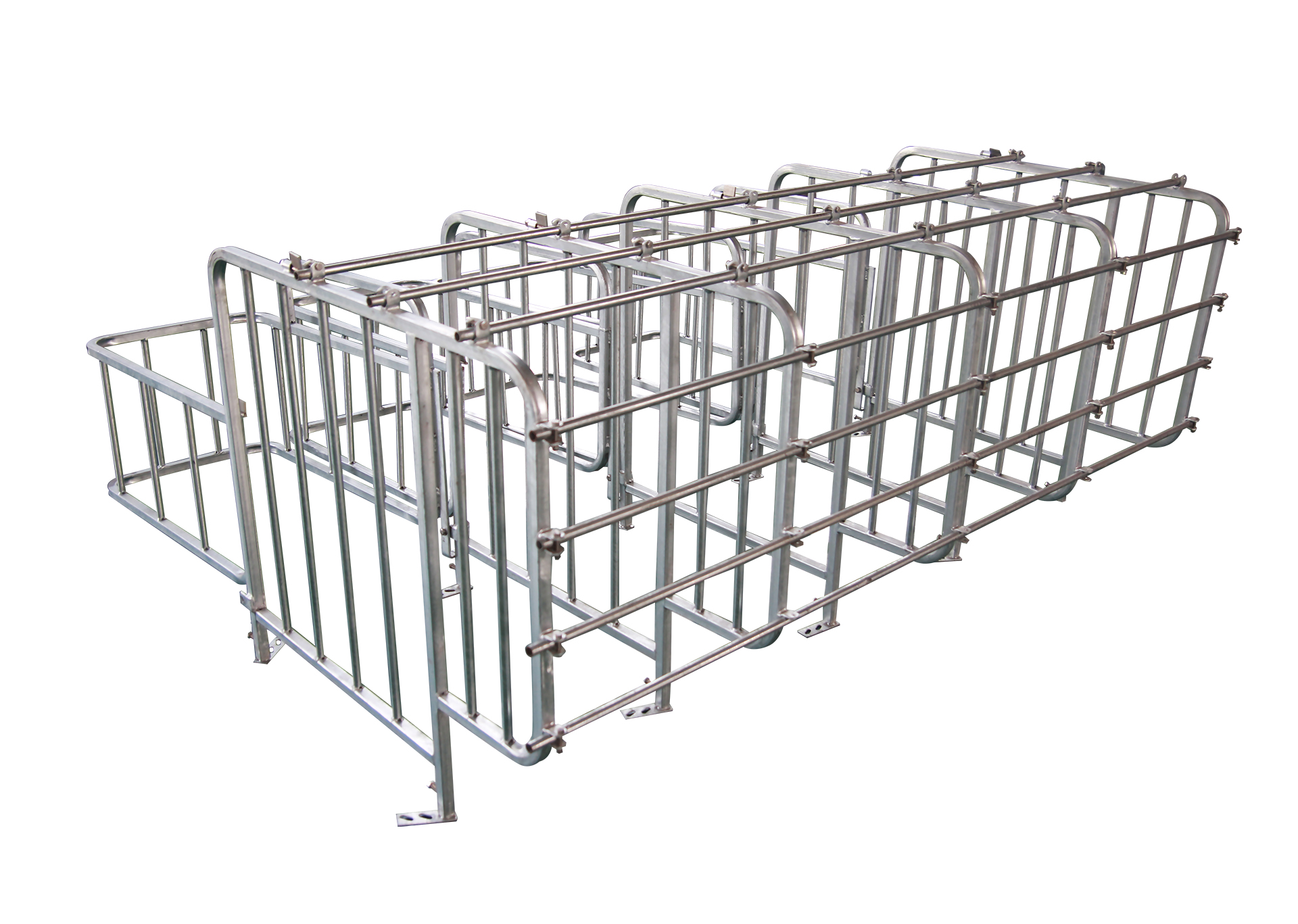 barraca de gestação