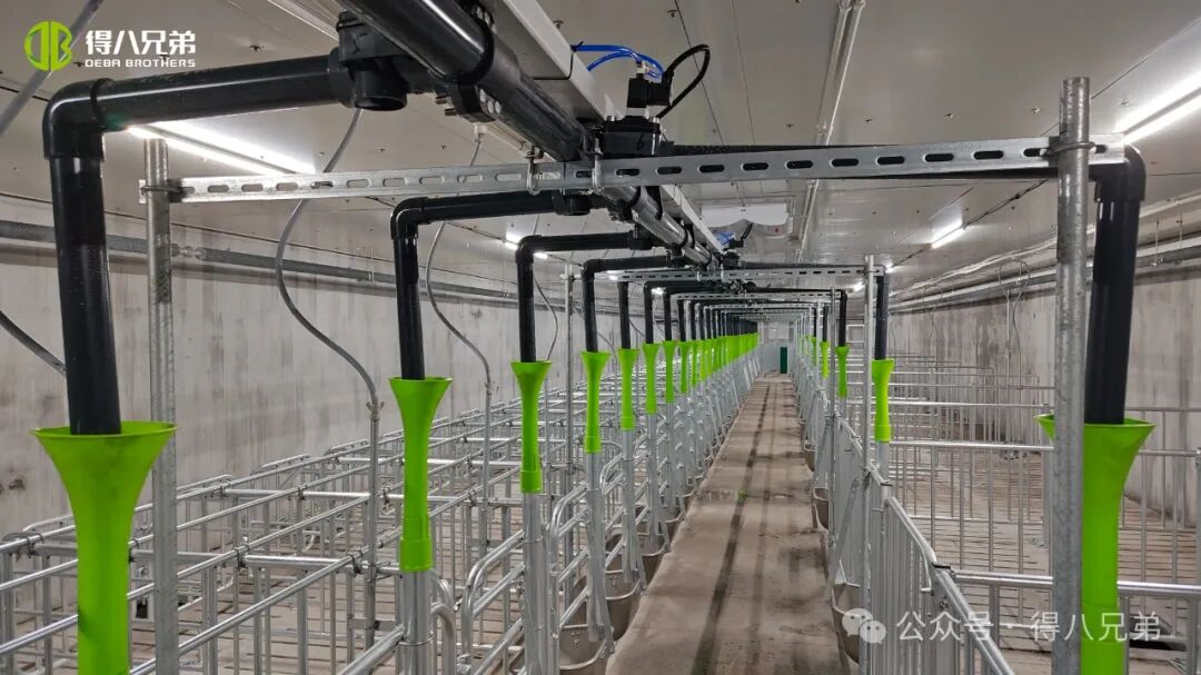 Base de demonstração de criação e cultivo de porco preto Deba Brother Licha - Operações integradas de 2.000 porcas, 50.000 abates anuais, 67.000 metros quadrados