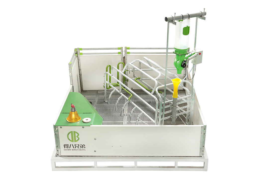 WELSAFE Peneira para porcas soltas - Foco no bem-estar animal