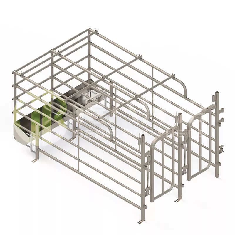 Barracas de suínos espanholas mais amplas e de livre acesso